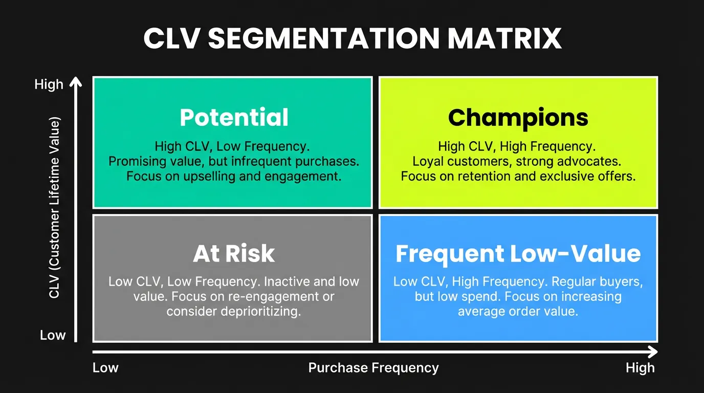 CLV Segmentation Matrix